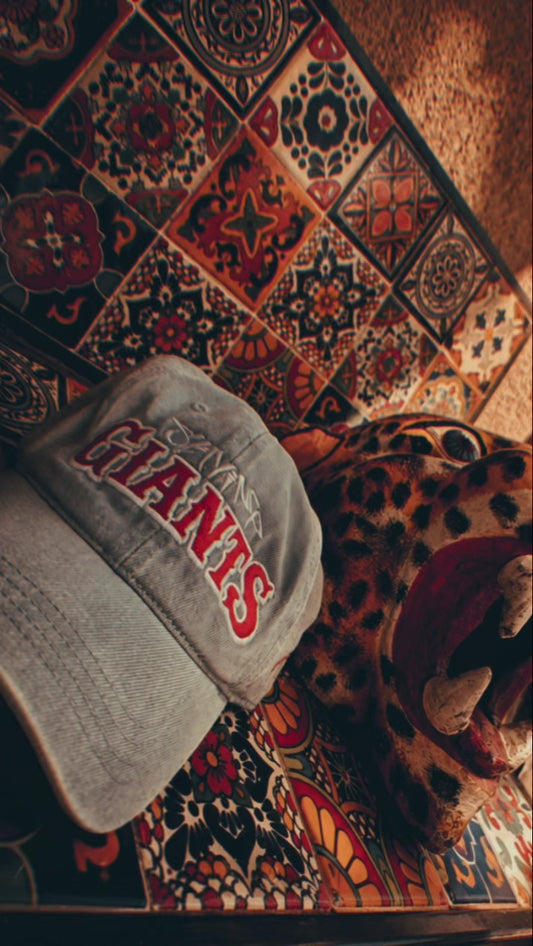 Slaying Giants Denim Hat